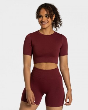 Burgundy Women's Teveo Sensation Crop Tops | 7164-HBIVC