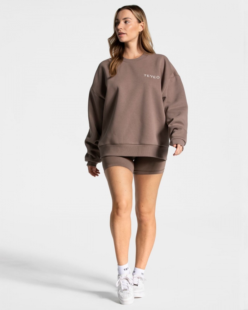 Beige Women's Teveo Signature Oversized Sweaters | 6913-AMZLX