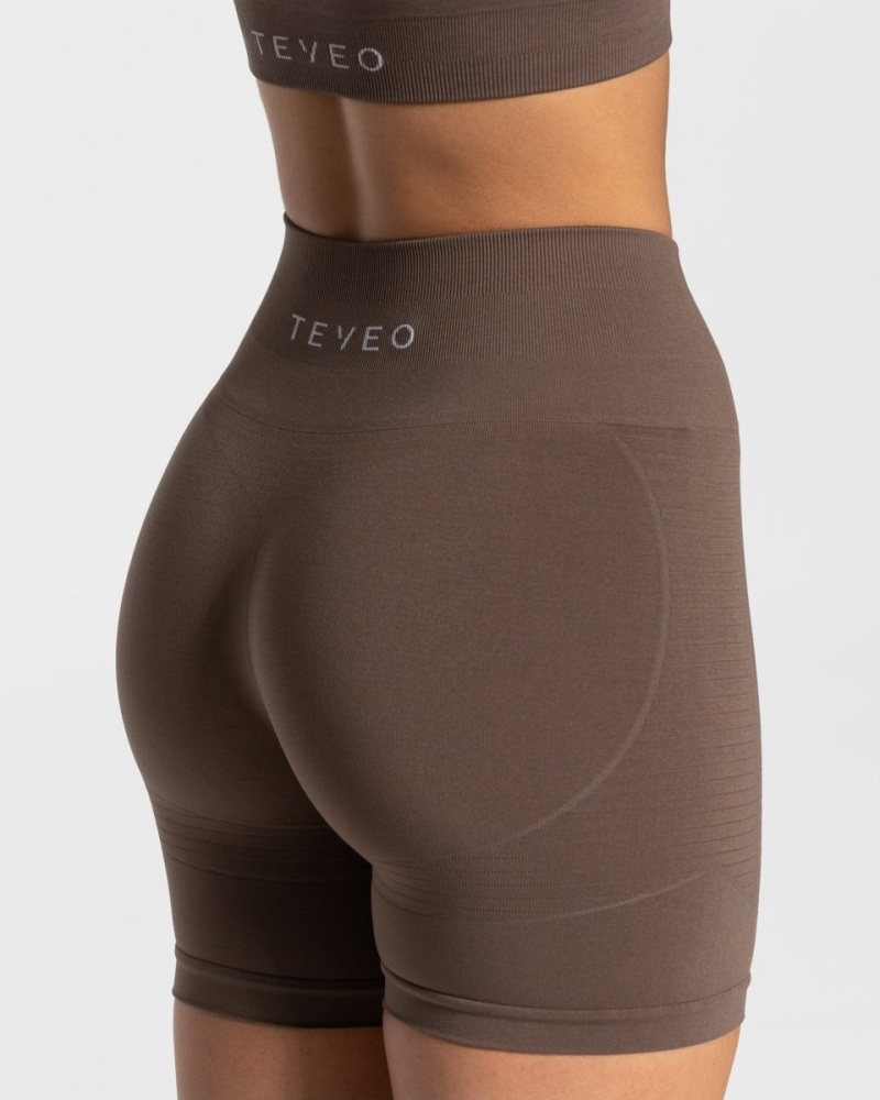 Brown Women's Teveo True Shorts | 9842-REXQL