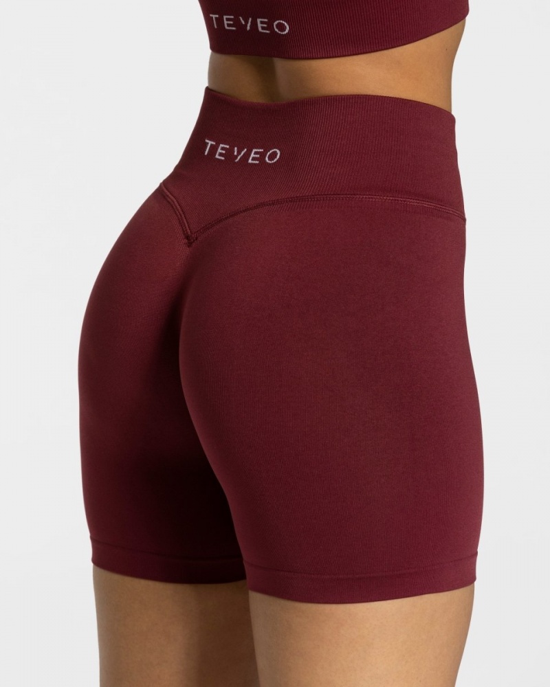 Burgundy Red Women's Teveo Sensation Mini Shorts | 3015-VWRYD