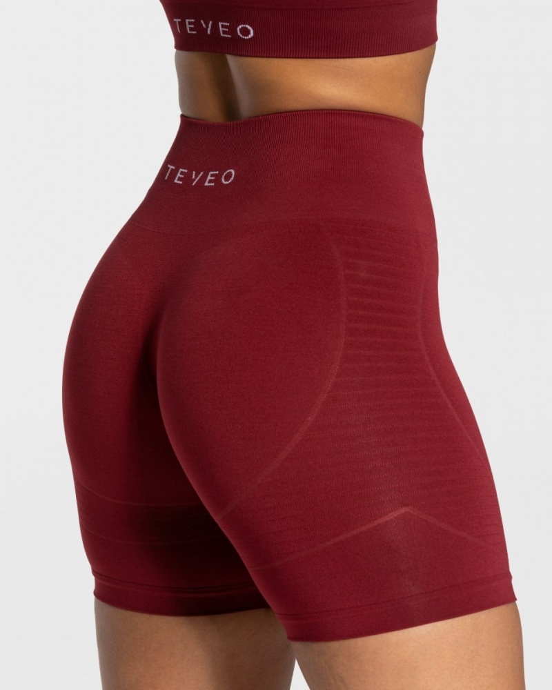 Burgundy Red Women's Teveo True Shorts | 0857-QENAH