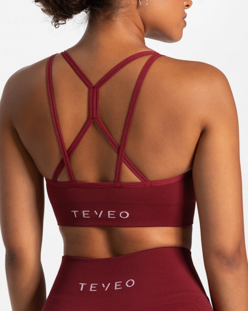 Burgundy Women's Teveo True Bras | 1384-LAOIH