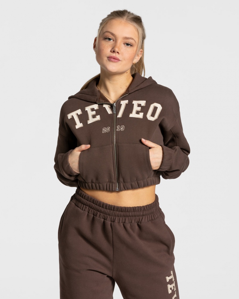 Dark Brown Women\'s Teveo College Zip Hoodie | 9348-YRDBT