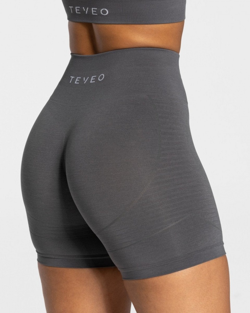 Dark Grey Women's Teveo True Shorts | 6592-TKOXG