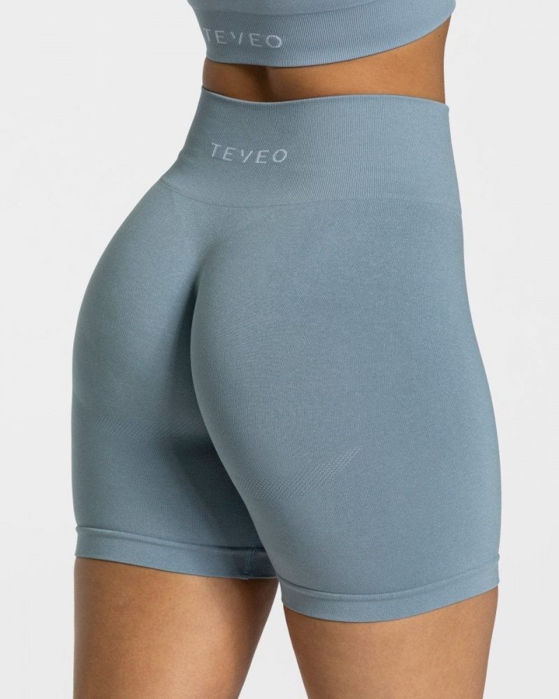 Grey Blue Women's Teveo Classy Shorts | 5630-PHBOJ