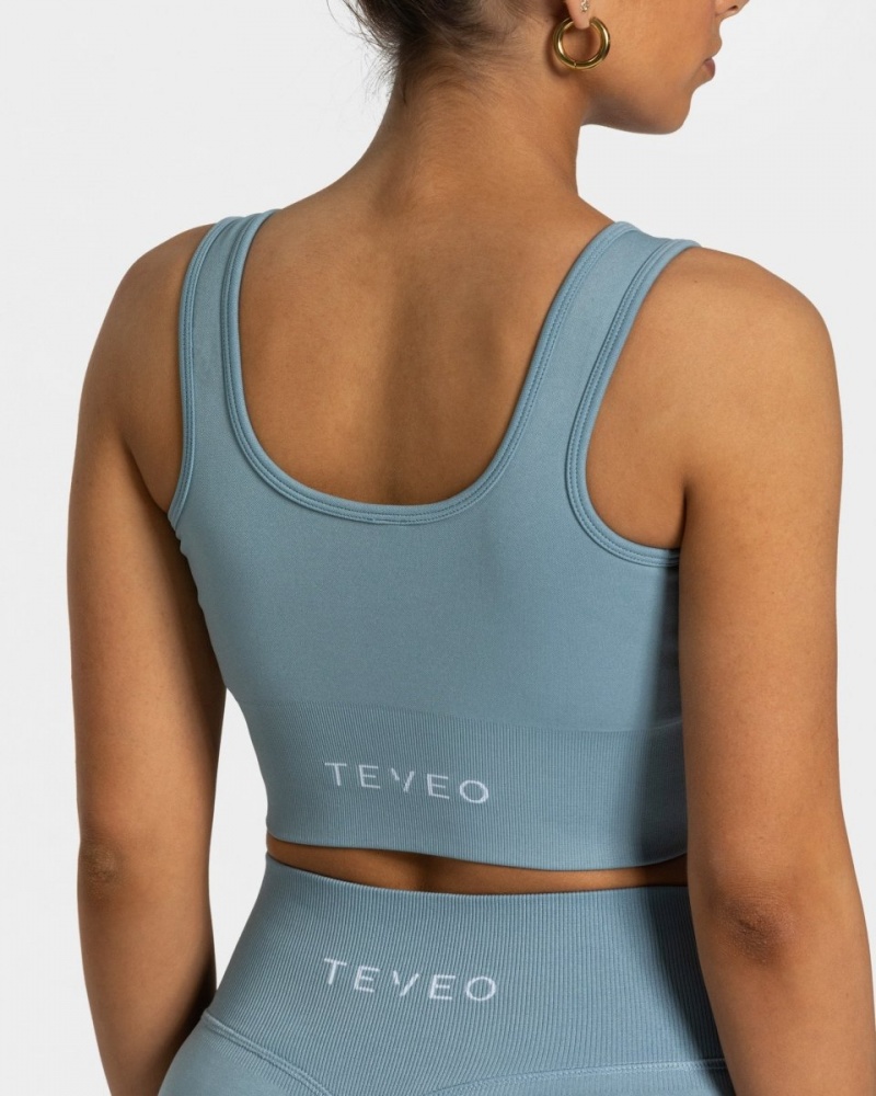 Grey Blue Women's Teveo Sensation Bras | 5741-DURIA