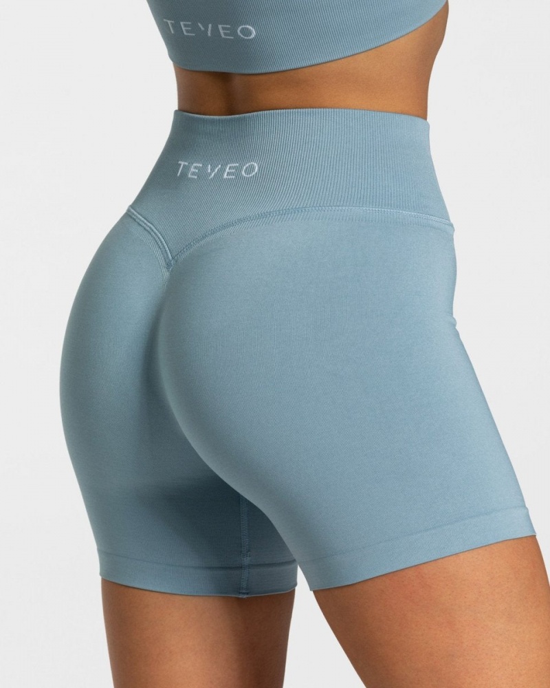 Grey Blue Women's Teveo Sensation Mini Shorts | 5438-ZJBIP