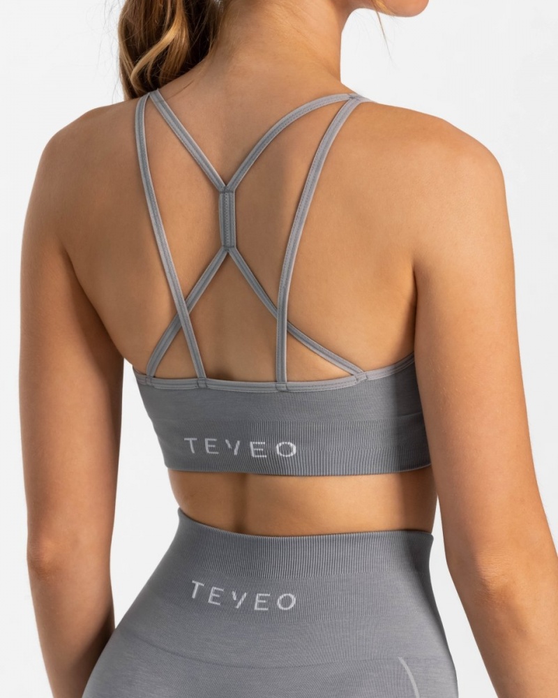 Grey Blue Women's Teveo True Bras | 1294-JRPQO