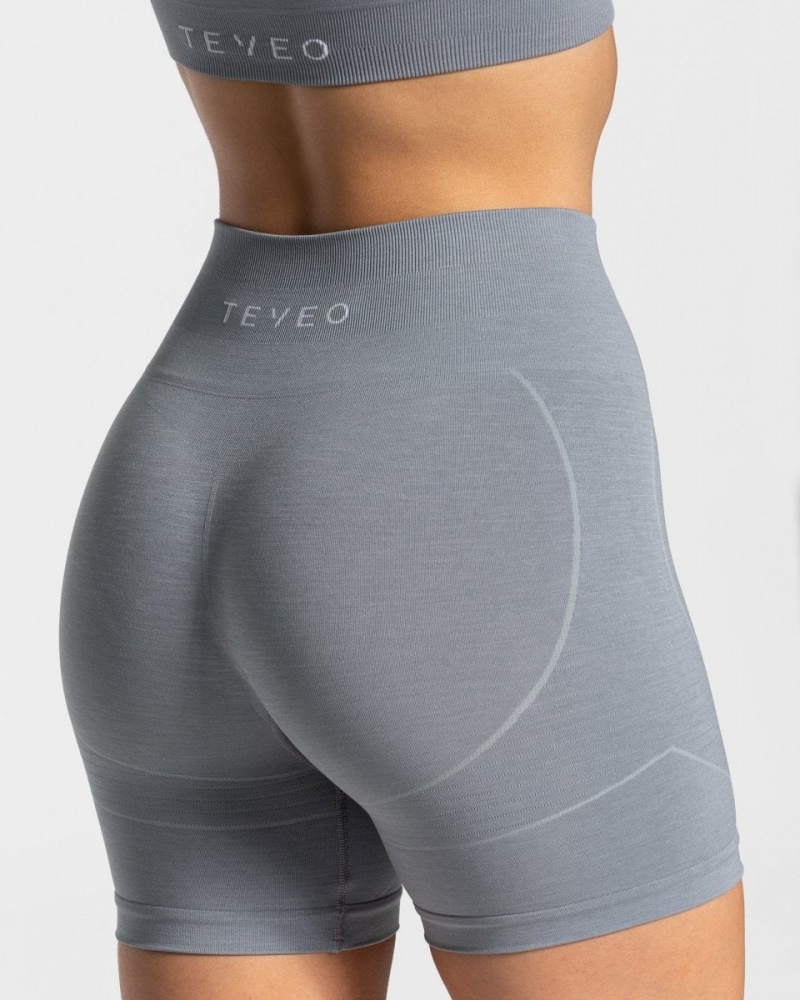 Grey Blue Women's Teveo True Shorts | 3460-KMPWZ