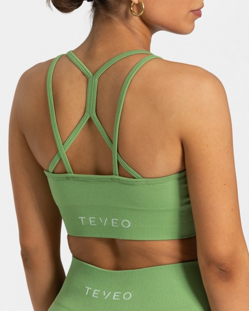 Olive Women's Teveo Timeless Scrunch Bras | 9501-GCONB